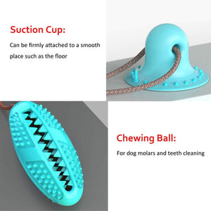 Dog Tugging Suction Cup Toy